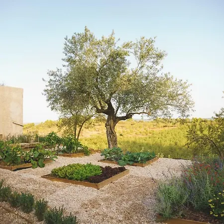 Mas Del Serranet Country house *